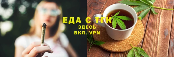 прущие грибы Гусиноозёрск
