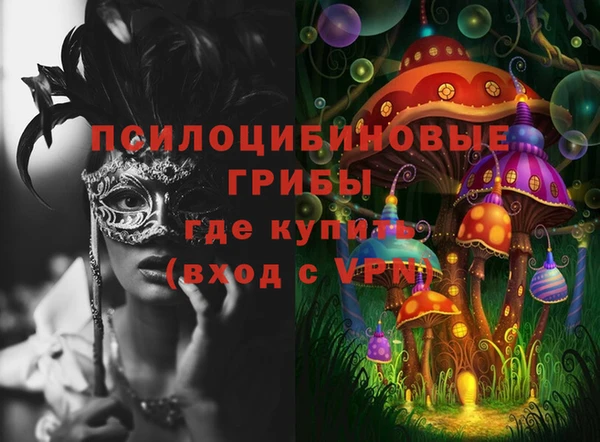 шишки Дмитриев