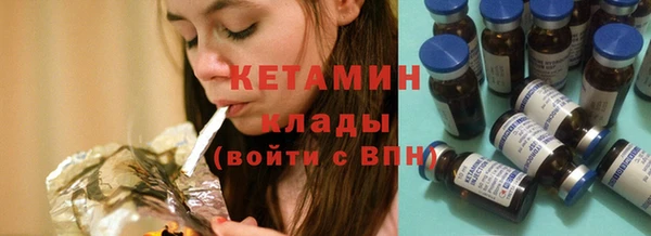 прущие грибы Гусиноозёрск