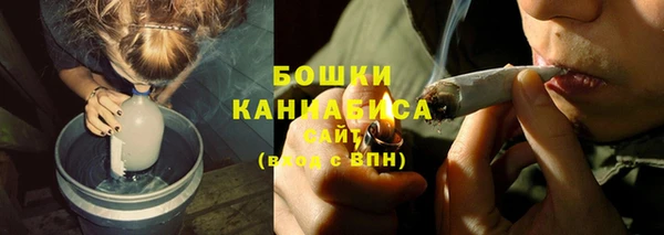 прущие грибы Гусиноозёрск