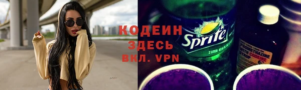 прущие грибы Гусиноозёрск