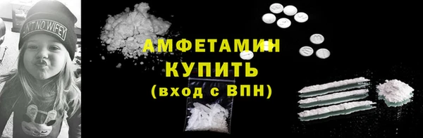 прущие грибы Гусиноозёрск