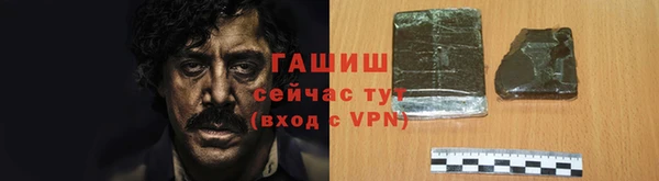 прущие грибы Гусиноозёрск