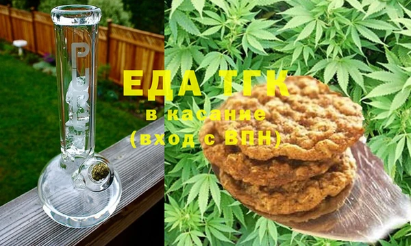 прущие грибы Гусиноозёрск