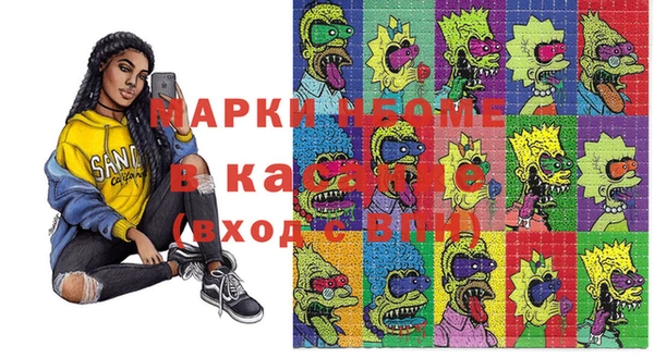 прущие грибы Гусиноозёрск