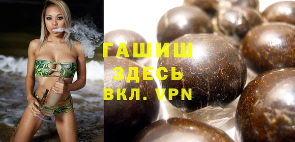 прущие грибы Гусиноозёрск