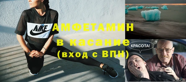 шишки Дмитриев