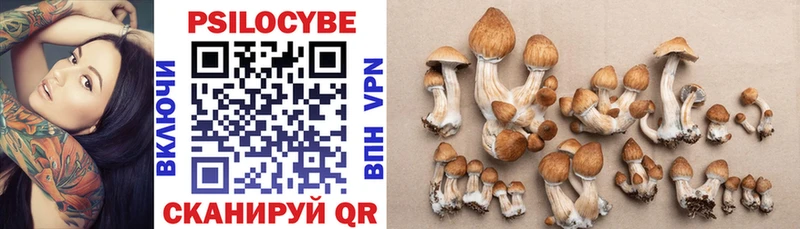 Галлюциногенные грибы Magic Shrooms  закладка  ссылка на мегу ССЫЛКА  Дрезна 